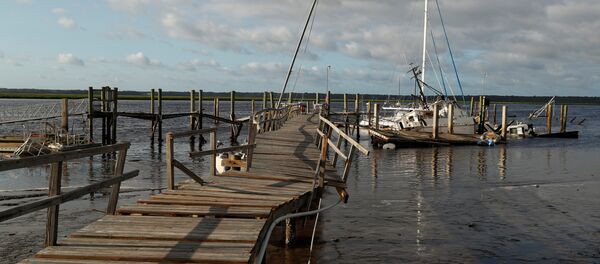 Consecuencias del huracán Irma - Sputnik Mundo