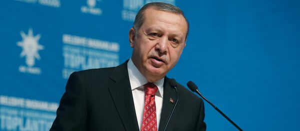 El presidente de Turquía Recep Tayyip Erdogan en el Palacio Presidencial - Sputnik Mundo