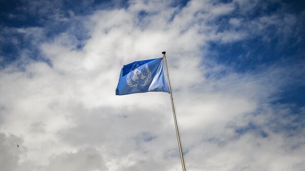 La bandera de la ONU - Sputnik Mundo