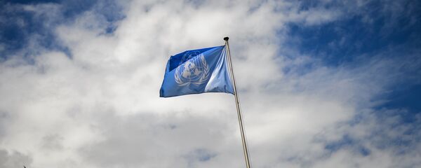 La bandera de la ONU - Sputnik Mundo