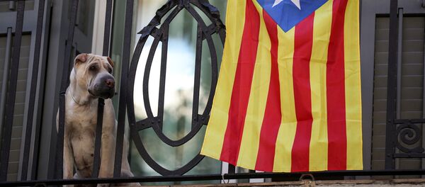 Un perro con Estelada, bandera separatista de Cataluña - Sputnik Mundo