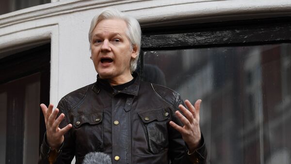 Julian Assange, fundador de Wikileaks - Sputnik Mundo