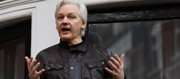 Julian Assange, fundador de Wikileaks (archivo) - Sputnik Mundo