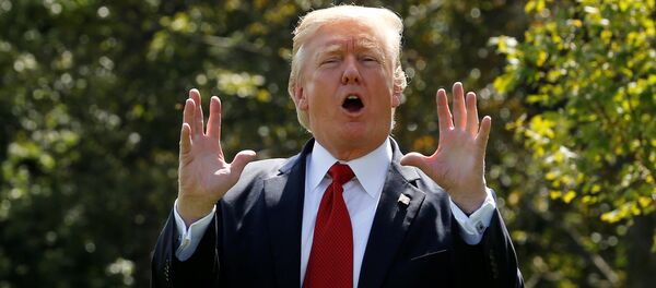 Donald Trump, presidente de EEUU (archivo) - Sputnik Mundo