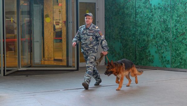 Un agente de seguridad ruso con un perro Un agente de seguridad ruso con un perro - Sputnik Mundo