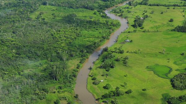 Amazonía brasileña - Sputnik Mundo