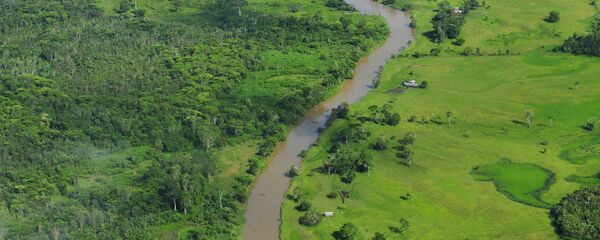 Amazonía brasileña - Sputnik Mundo