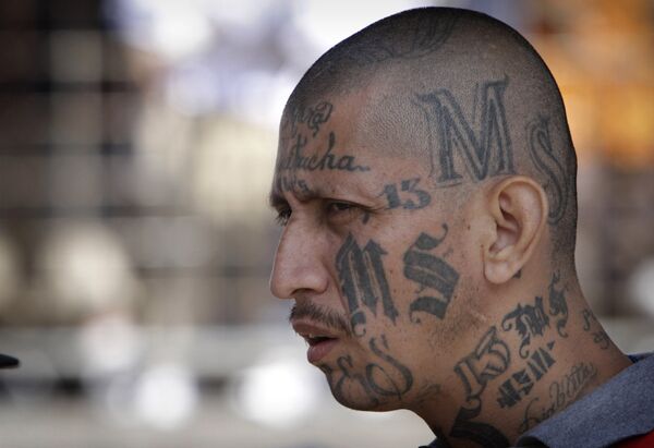 Miembro de la Mara Salvatrucha (archivo) Miembro de la Mara Salvatrucha (archivo) - Sputnik Mundo