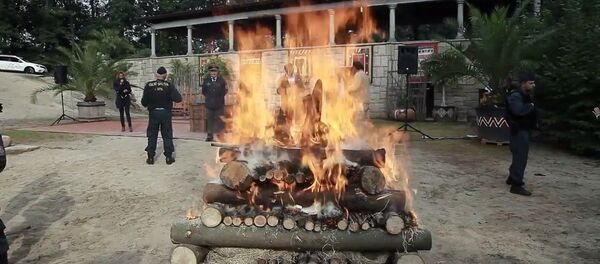 El zoológico de la ciudad checa de Dvur Kralove hizo una hoguera con cerca de 33 kilos de cuernos de rinoceronte El zoológico de la ciudad checa de Dvur Kralove hizo una hoguera con cerca de 33 kilos de cuernos de rinoceronte - Sputnik Mundo