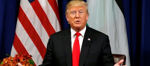Donald Trump, presidente de EEUU - Sputnik Mundo