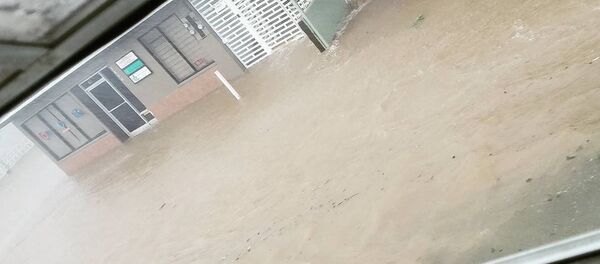 Las consecuencias del huracán María en Puerto Rico - Sputnik Mundo