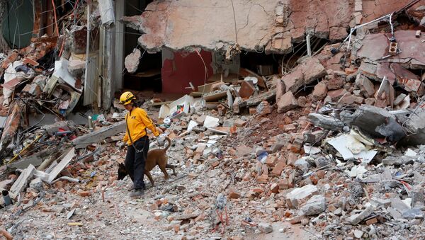 Las consecuencias del terremoto en México - Sputnik Mundo