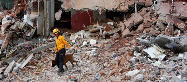 Las consecuencias del terremoto en México - Sputnik Mundo