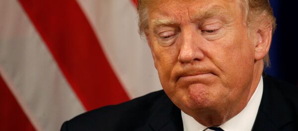 Donald Trump, presidente de EEUU - Sputnik Mundo
