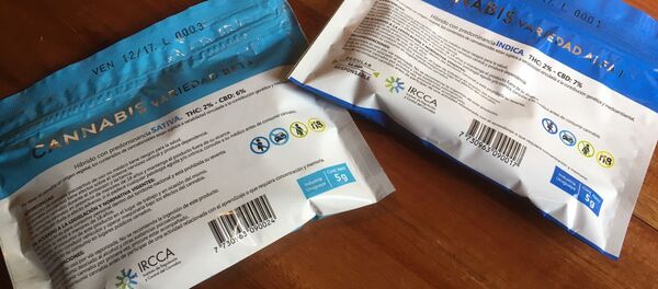 Variedades del cannabis legal que llegó a ser comercializado en farmacias uruguayas en julio de 2017, antes del impasse con el sistema financiero internacional. - Sputnik Mundo