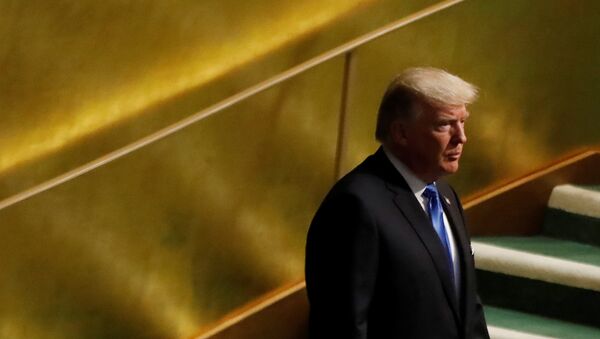 Donald Trump, presidente de EEUU - Sputnik Mundo