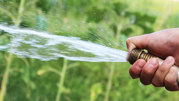 Agua sale de un conducto - Sputnik Mundo