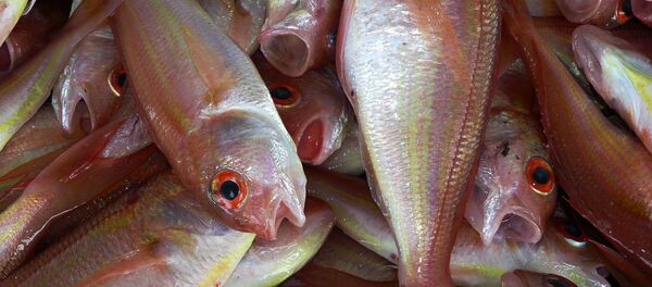 Pescado  - Sputnik Mundo