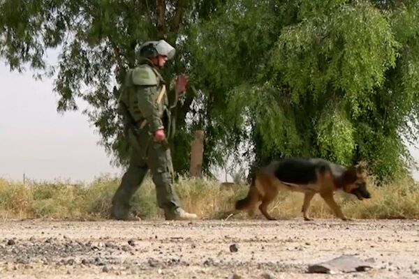 Zapadores rusos desminan la ciudad siria de Deir Ezzor - Sputnik Mundo