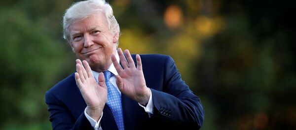 Donald Trump, presidente de EEUU - Sputnik Mundo
