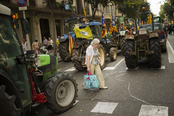 ¿Por qué han llegado a Barcelona cientos de tractores? La 'revolución de los agricultores' - Sputnik Mundo