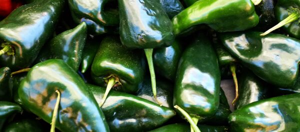 Chile poblano - Sputnik Mundo