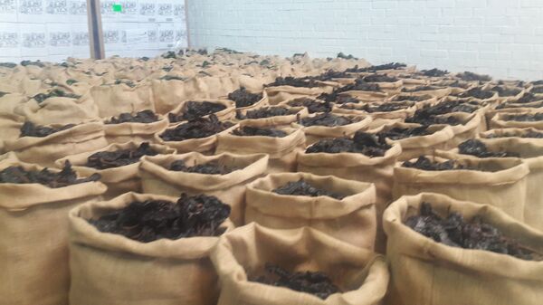 Chiles empleados en la elaboración de un licor de notas frescas pero con un toque picante muy mexicano, creado por la firma Ancho Reyes. - Sputnik Mundo