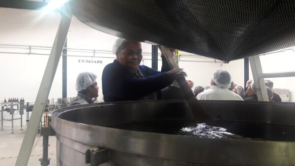 Elaboración de un licor de notas frescas pero con un toque picante muy mexicano, creado por la firma Ancho Reyes.  - Sputnik Mundo