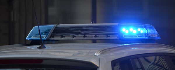 Un coche de policía - Sputnik Mundo