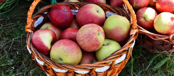 Las manzanas presentadas en una feria agroalimentaria celebrada en la ciudad rusa  de Bryansk - Sputnik Mundo