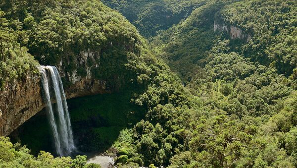 Vistas del estado brasileño de Rio Grande do Sul (imagen referencial) - Sputnik Mundo