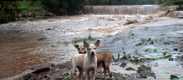 Las consecuencias de la tormenta tropical Nate en Nicaragua - Sputnik Mundo