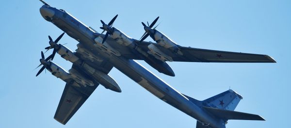 Bombardero estratégico Tu-95MS Bombardero estratégico Tu-95MS - Sputnik Mundo