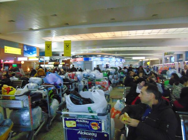 Fila de equipaje del vuelo Moscú-Habana - Sputnik Mundo