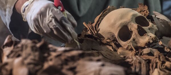 La tumba egipcia, descubierta en septiembre de 2017 (archivo) - Sputnik Mundo