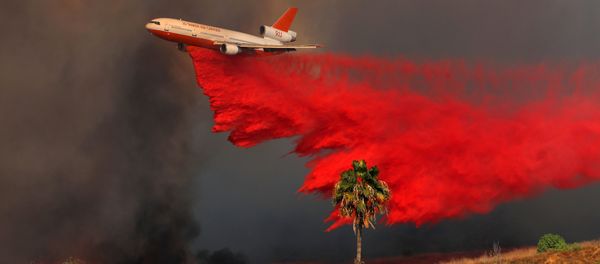 Incendios forestales en California Incendios forestales en California - Sputnik Mundo