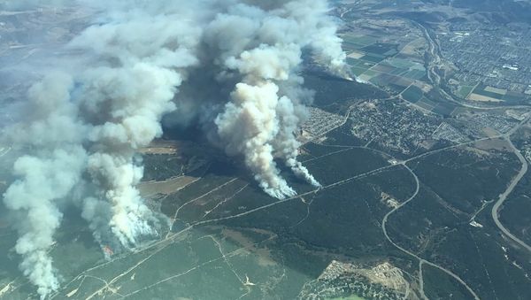 Incendios forestales en California Incendios forestales en California - Sputnik Mundo