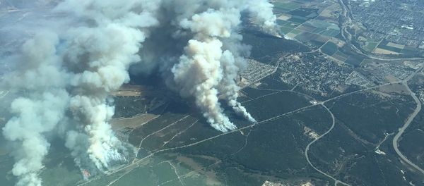 Incendios forestales en California - Sputnik Mundo