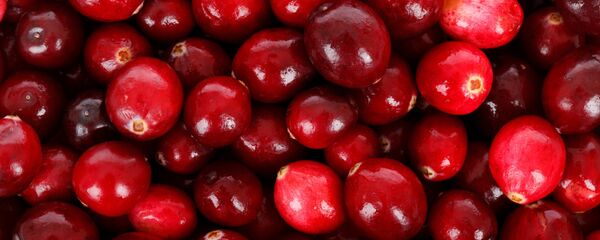 Arándanos (imagen referencial) Arándanos (imagen referencial) - Sputnik Mundo