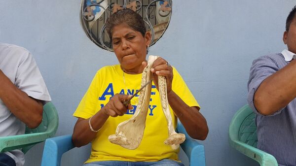 Instrumentos rudimentarios de Guerrero - Sputnik Mundo