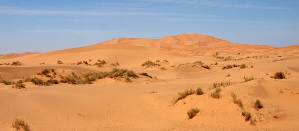 El desierto Sáhara - Sputnik Mundo