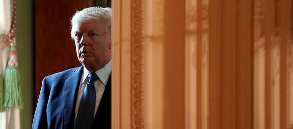 Donald Trump, presidente de EEUU - Sputnik Mundo