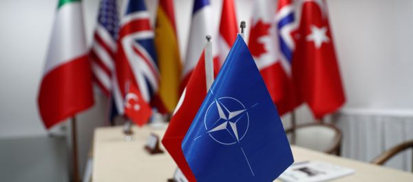 Las banderas de OTAN y sus miembros Las banderas de OTAN y sus miembros - Sputnik Mundo