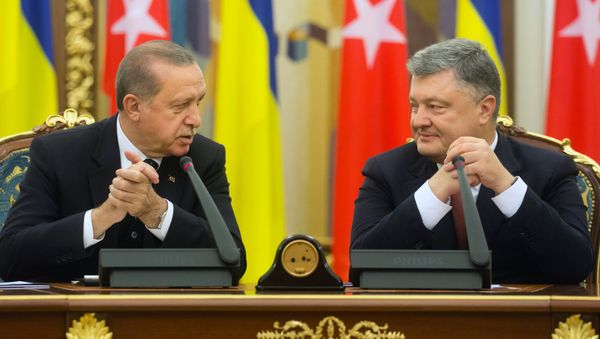 La visita de Erdogan a Kiev La visita de Erdogan a Kiev - Sputnik Mundo