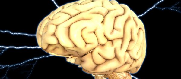 Cerebro (ilustración) - Sputnik Mundo