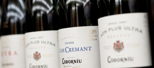 Botellas de de cava, Codorníu Raventós Botellas de de cava, Codorníu Raventós - Sputnik Mundo