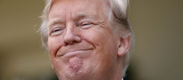 Donald Trump, presidente de EEUU - Sputnik Mundo