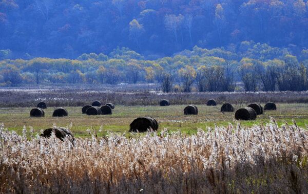 Así llega el otoño a uno de los rincones más lejanos de Rusia - Sputnik Mundo