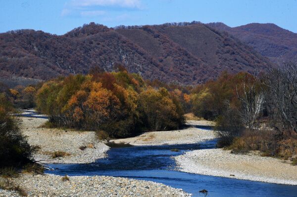 Así llega el otoño a uno de los rincones más lejanos de Rusia - Sputnik Mundo