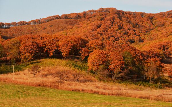 Así llega el otoño a uno de los rincones más lejanos de Rusia - Sputnik Mundo